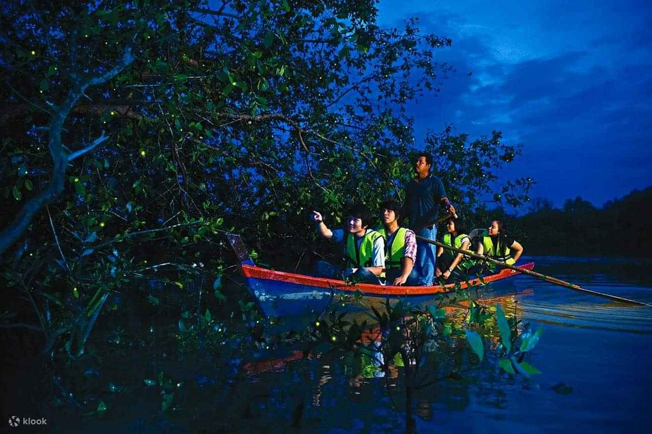 Kuala Selangor Fireflies (include boat ride & dinner at local restaurant) with Shared transfers.
